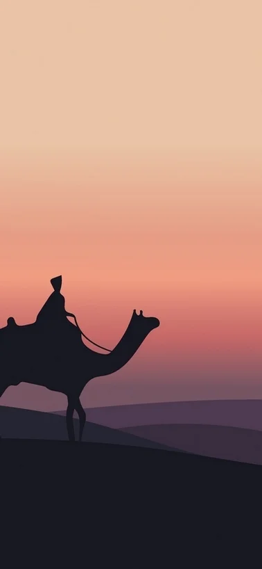 Camel Desert Minimalist 4K Xiaomi Redmi Wallpaper