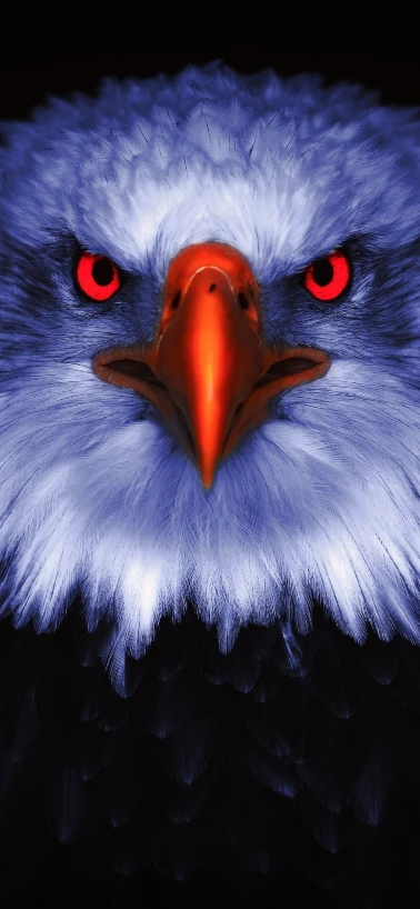 Discover Stunning High-Quality Bald Eagle Mobile Wallpapers"