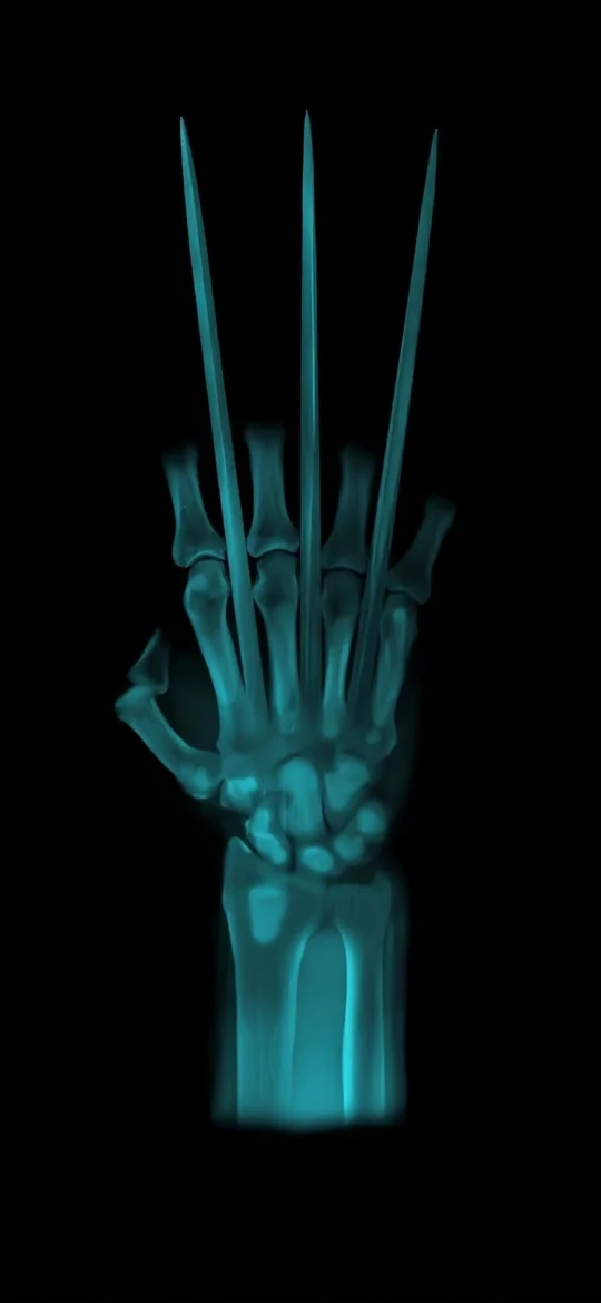 Wolverine Claws X-ray Marvel Superhero iPhone 4K Wallpaper