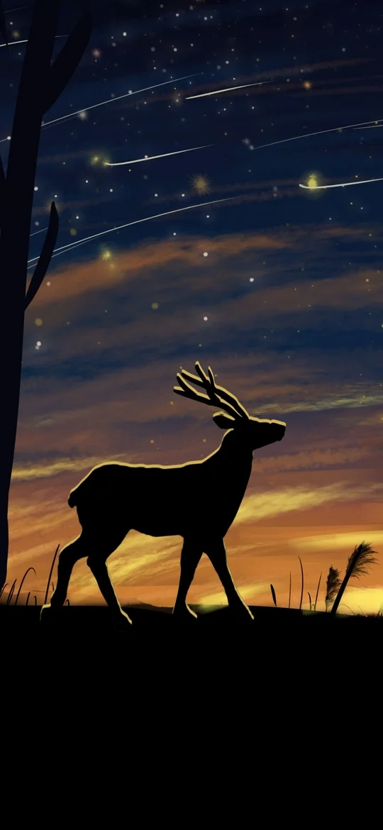 Grazing Deer silhouette night sky Amoled 4K Wallpapers