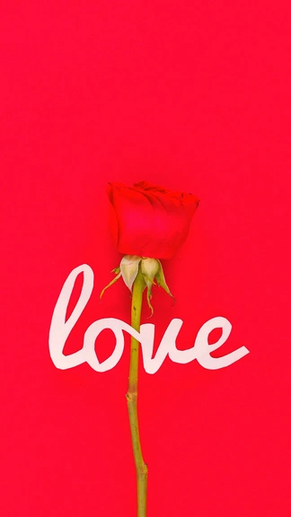 Love Roses Honor X50i+