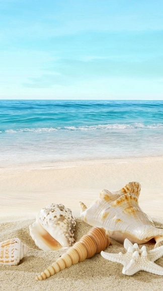 Beach Seashells Ulefone Armor 23 Ultra HD Wallpaper