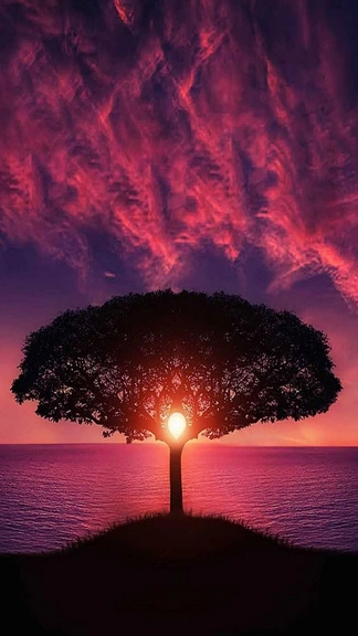 Purple Sky Sea Tree Samsung Galaxy Tab S9 Ultra Wallpapers